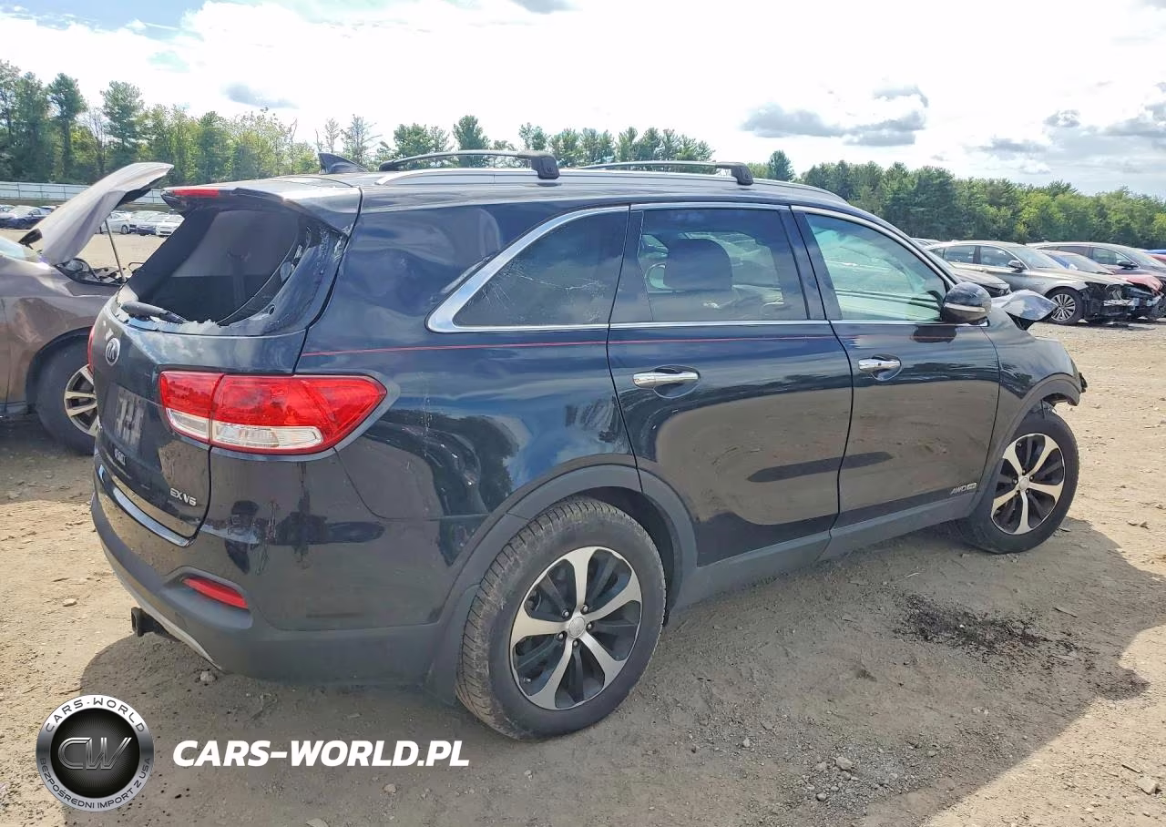 2017 Kia Sorento Ex VIN:5XYPHDA55HG200886 - 3