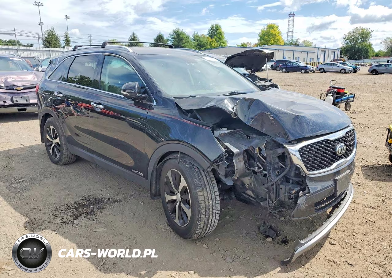2017 Kia Sorento Ex VIN:5XYPHDA55HG200886 - 4