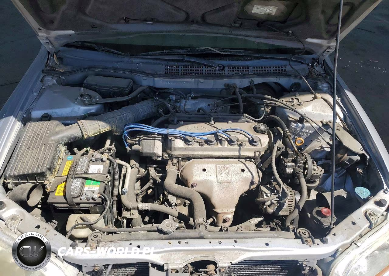 1998 Honda Accord Lx VIN:1HGCG5646WA077587 - 11