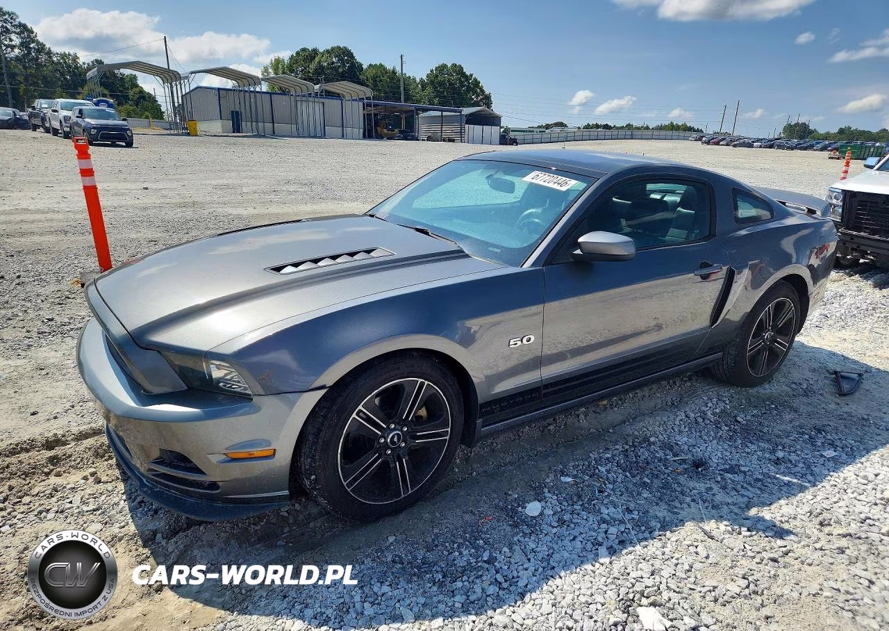 2013 Ford Mustang Gt VIN:1ZVBP8CF8D5276824 - 1