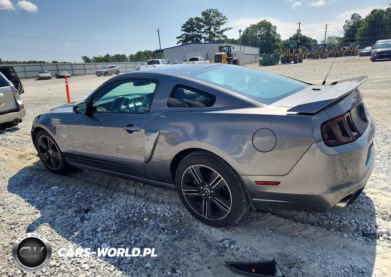 2013 Ford Mustang Gt VIN:1ZVBP8CF8D5276824 - 2