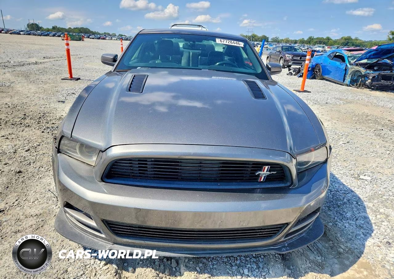 2013 Ford Mustang Gt VIN:1ZVBP8CF8D5276824 - 5