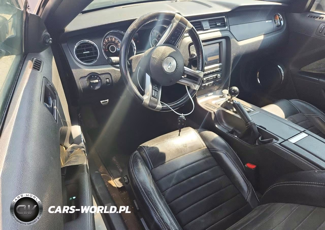 2013 Ford Mustang Gt VIN:1ZVBP8CF8D5276824 - 8