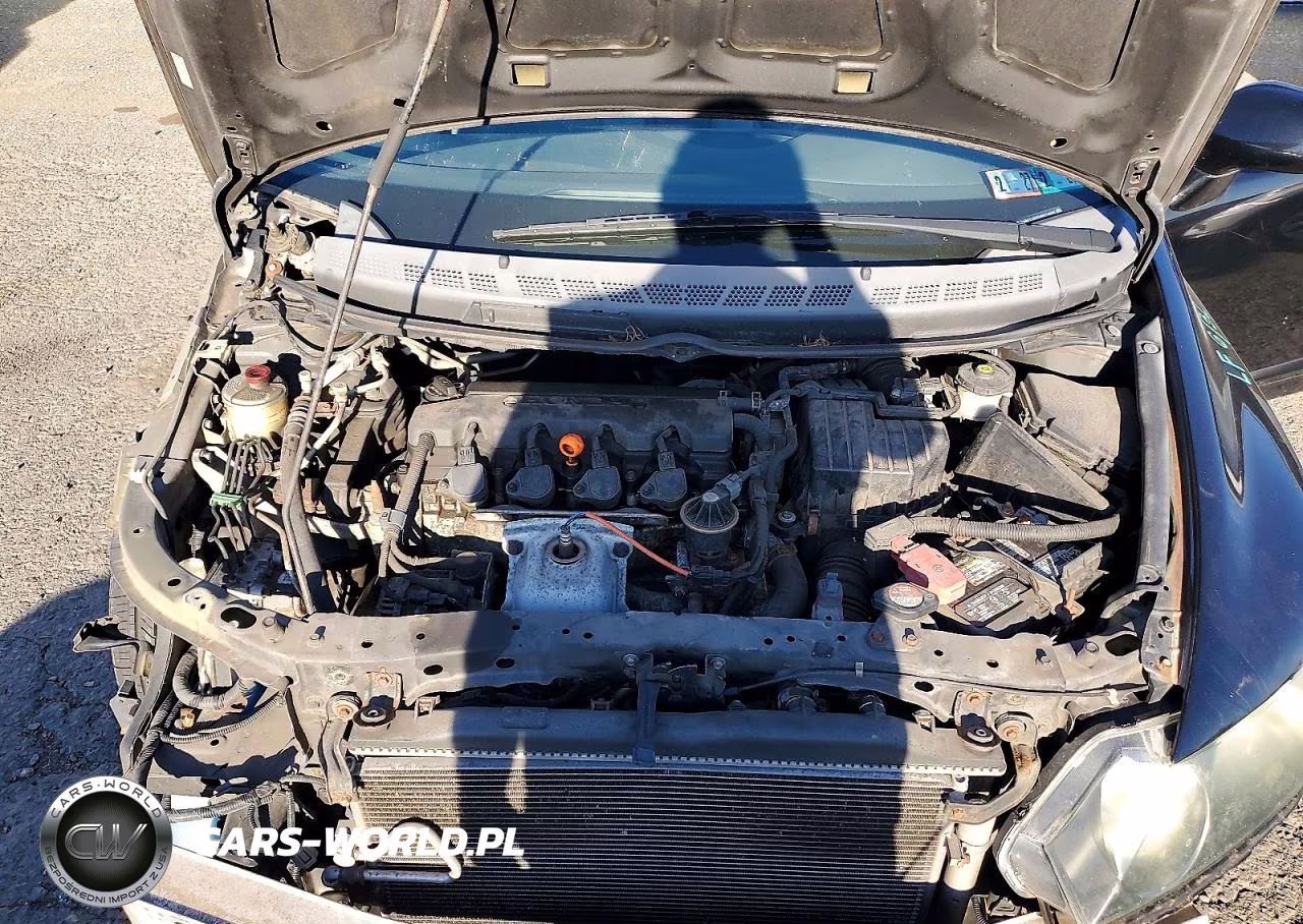 2009 Honda Civic Lx VIN:2HGFA165X9H519096 - 11