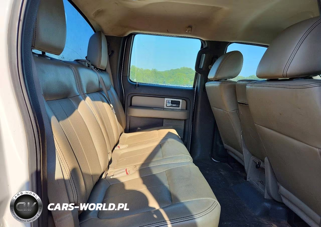 2010 Ford F150 Supercrew VIN:1FTFW1EV6AFB81414 - 10