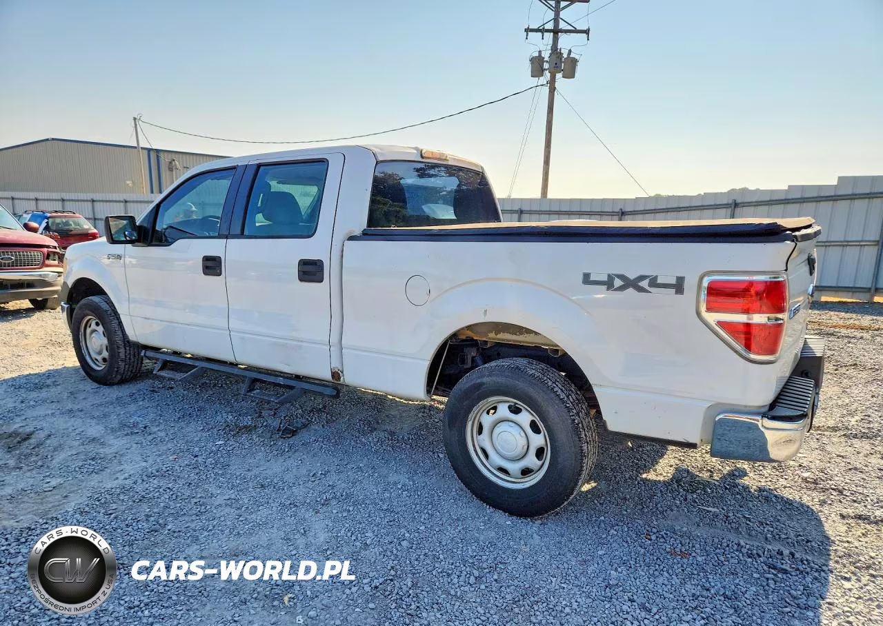 2010 Ford F150 Supercrew VIN:1FTFW1EV6AFB81414 - 2