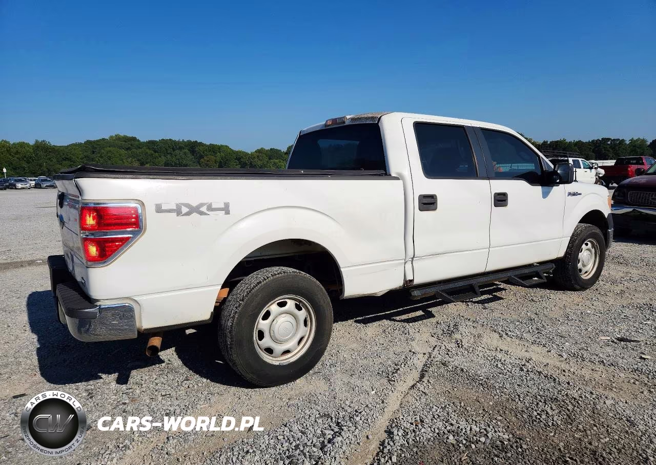 2010 Ford F150 Supercrew VIN:1FTFW1EV6AFB81414 - 3