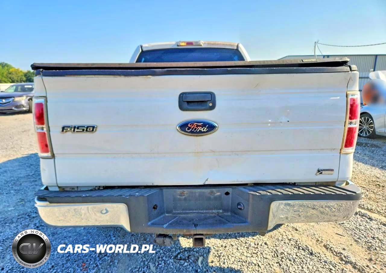 2010 Ford F150 Supercrew VIN:1FTFW1EV6AFB81414 - 6