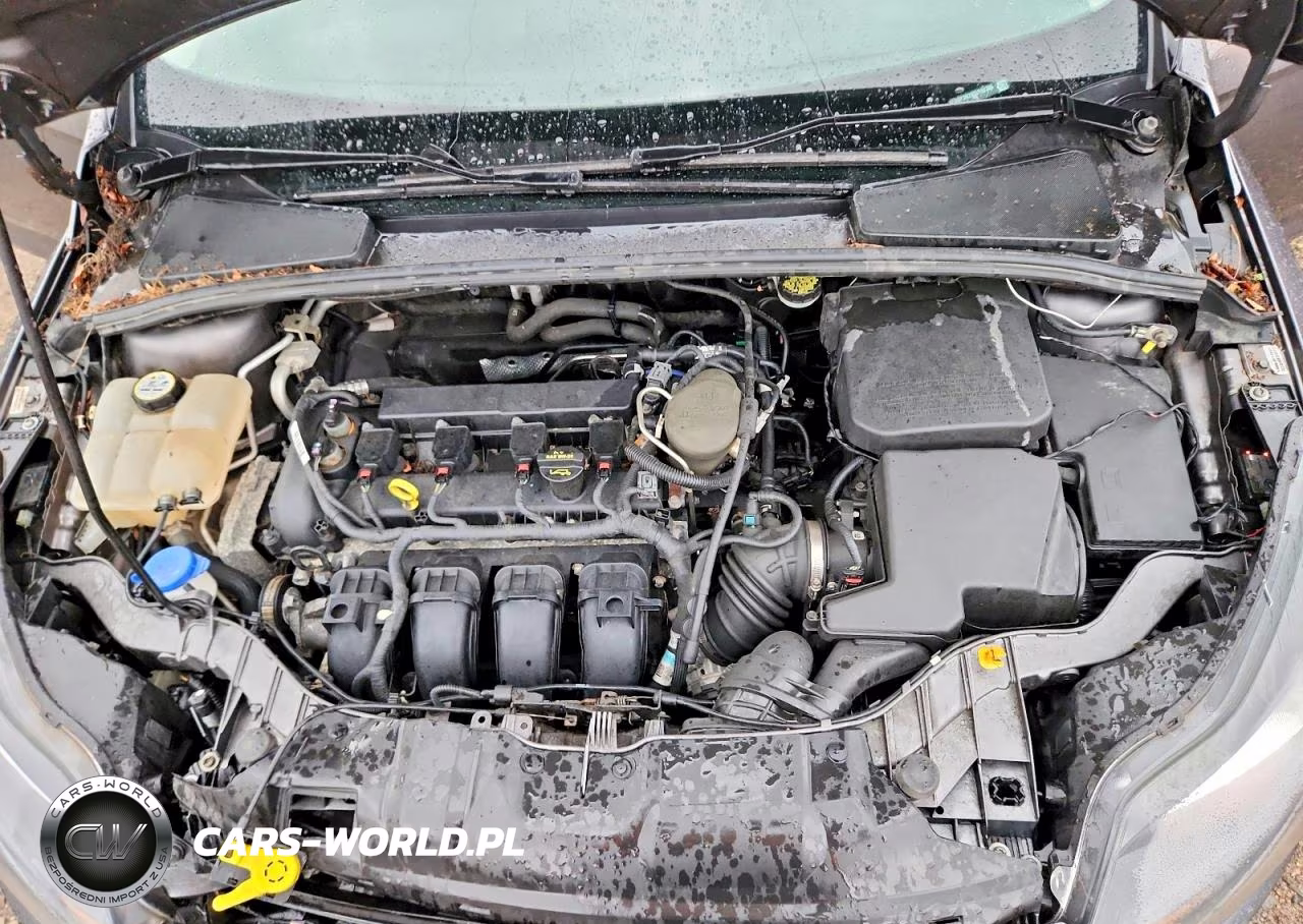 2013 Ford Focus Titanium VIN:1FADP3N29DL191386 - 11