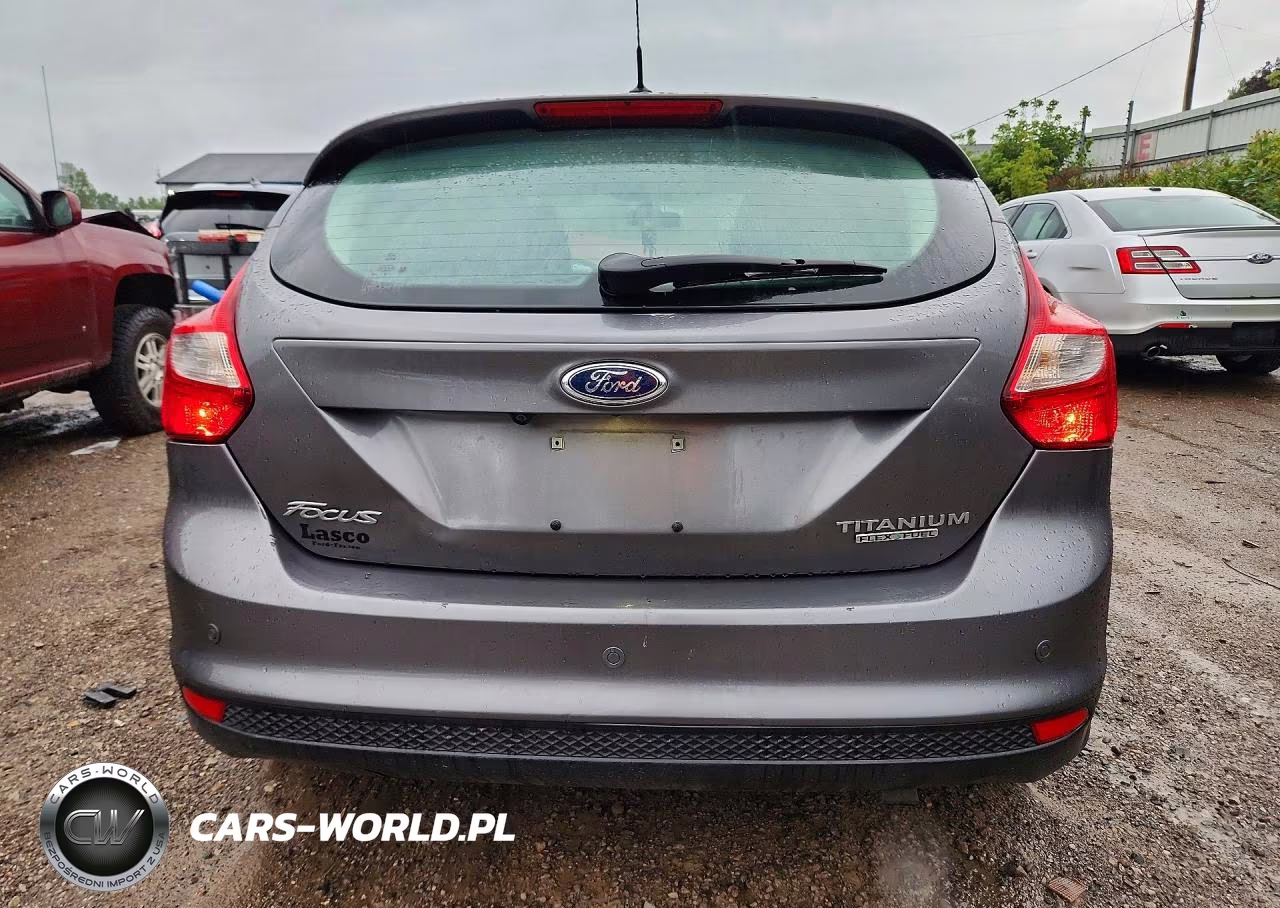 2013 Ford Focus Titanium VIN:1FADP3N29DL191386 - 6
