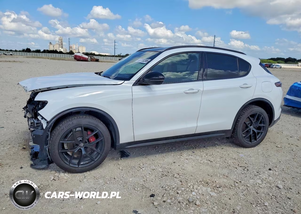 2021 Alfa Romeo Stelvio Ti VIN:ZASPAKBN4M7D19261 - 1