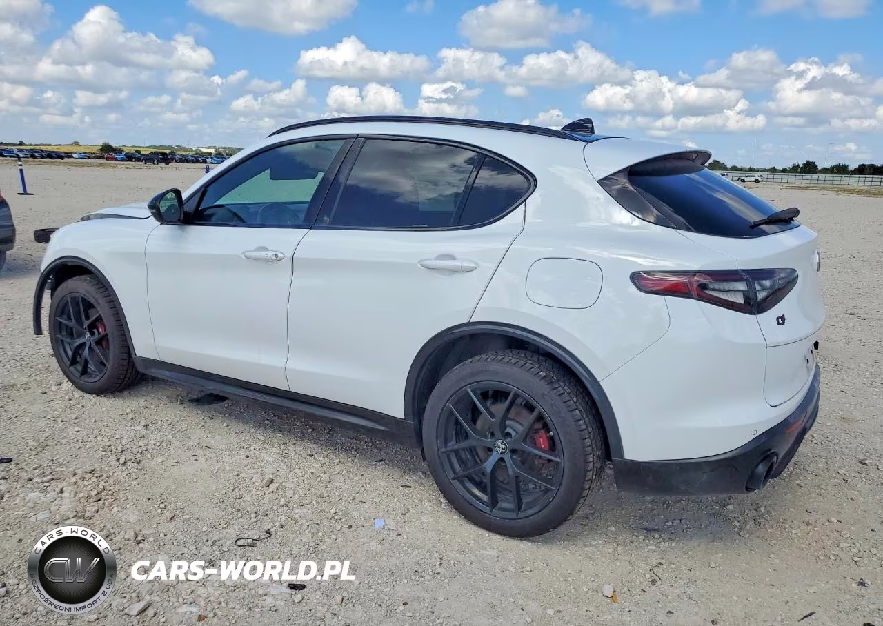 2021 Alfa Romeo Stelvio Ti VIN:ZASPAKBN4M7D19261 - 2