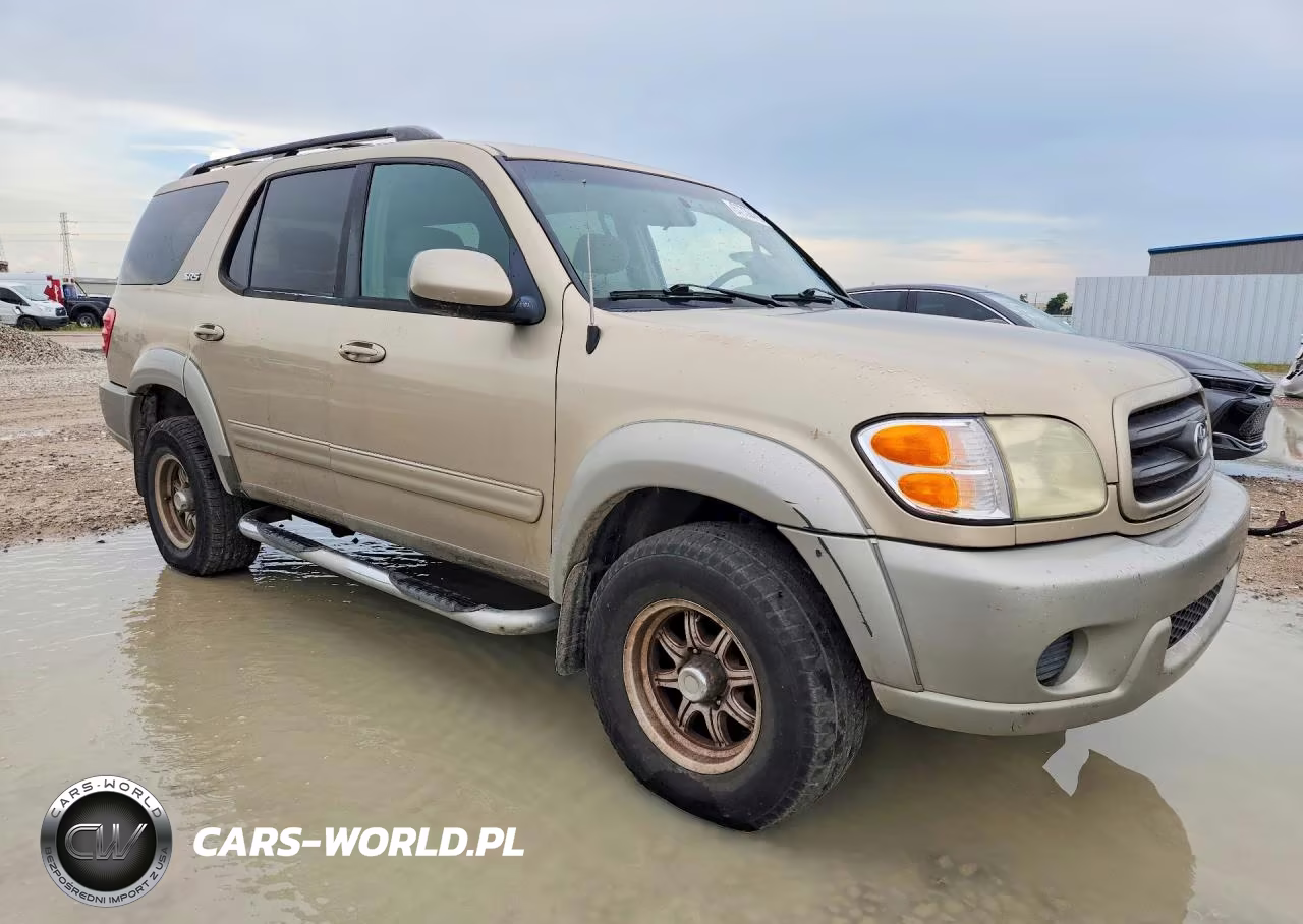2002 Toyota Sequoia Sr5 VIN:5TDZT34A92S077615 - 4