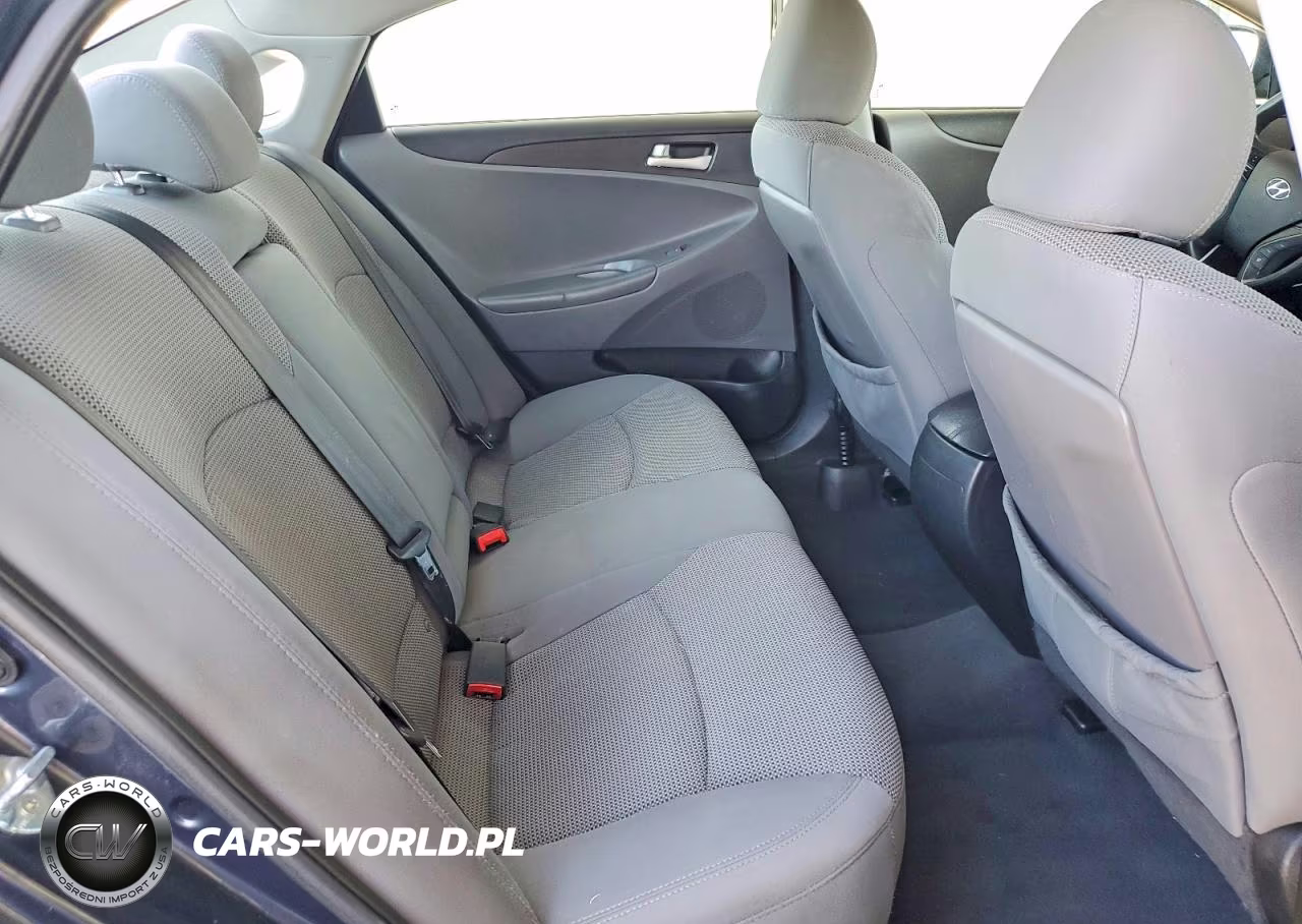 2014 Hyundai Sonata Gls VIN:5NPEB4ACXEH874317 - 10
