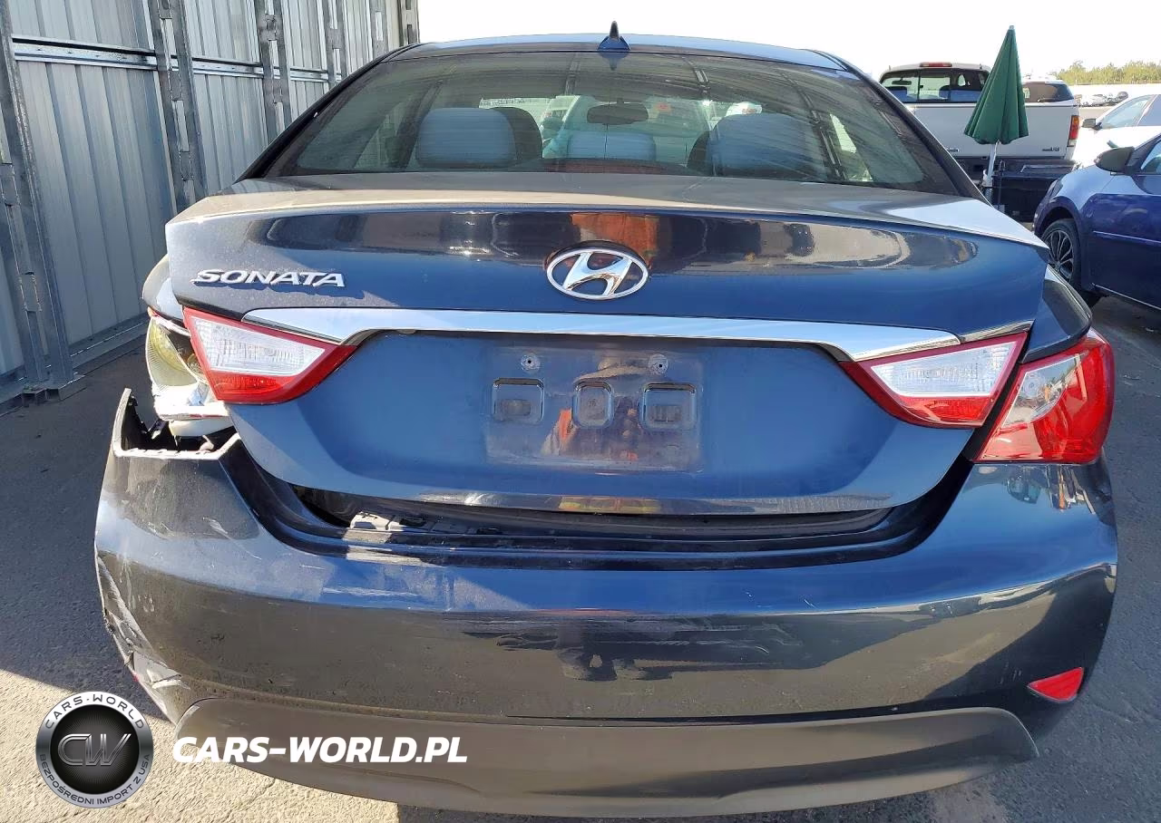 2014 Hyundai Sonata Gls VIN:5NPEB4ACXEH874317 - 6