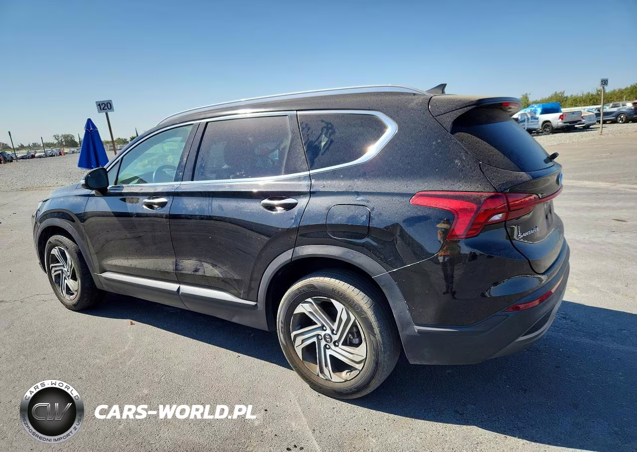 2023 Hyundai Santa Fe Sel VIN:5NMS24AJ8PH634586 - 2
