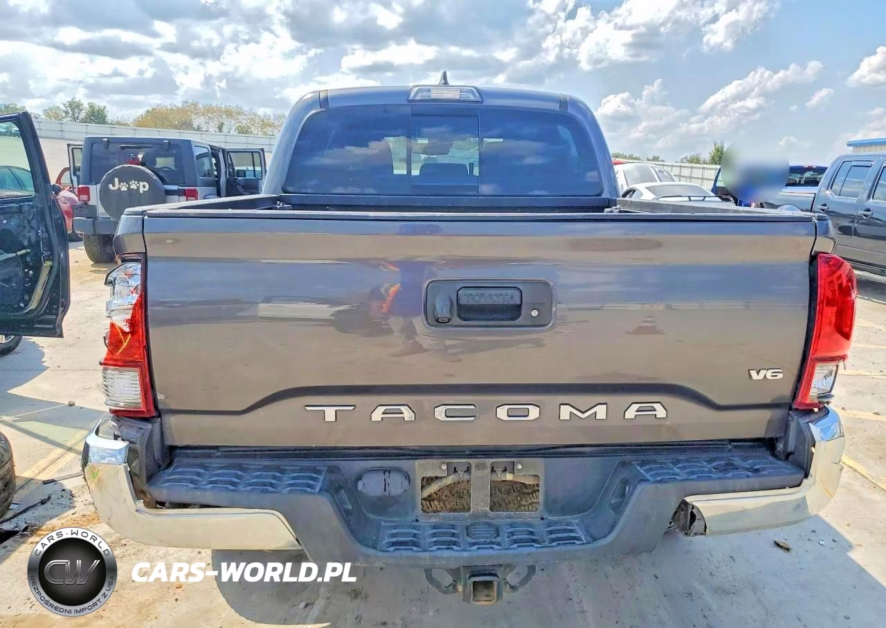 2018 Toyota Tacoma Trd Off-Road VIN:5TFCZ5ANXJX131696 - 6