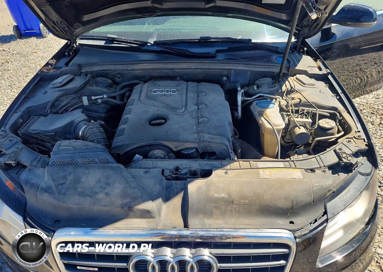 2010 Audi A4 Premium Plus VIN:WAUFFAFL0AN067974 - 11