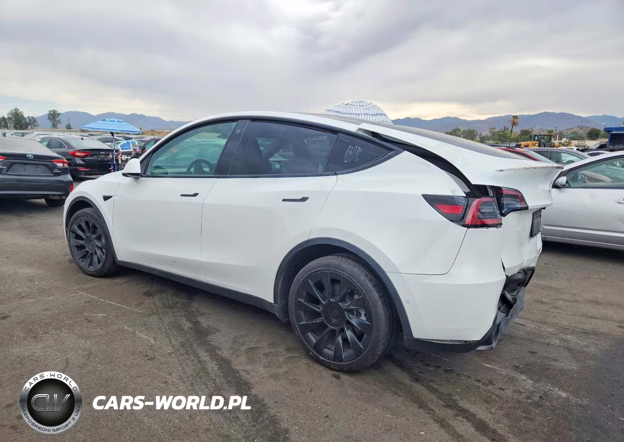 2022 Tesla Model Y Long Range Dual Motor All-Wheel Drive VIN:7SAYGDEE7NA010804 - 2