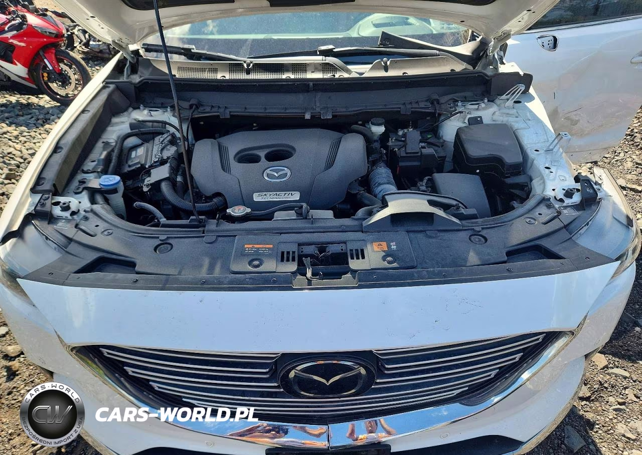 2019 Mazda Cx-9 Signature VIN:JM3TCBEY6K0322831 - 12