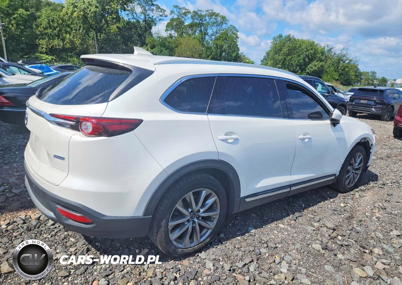 2019 Mazda Cx-9 Signature VIN:JM3TCBEY6K0322831 - 3