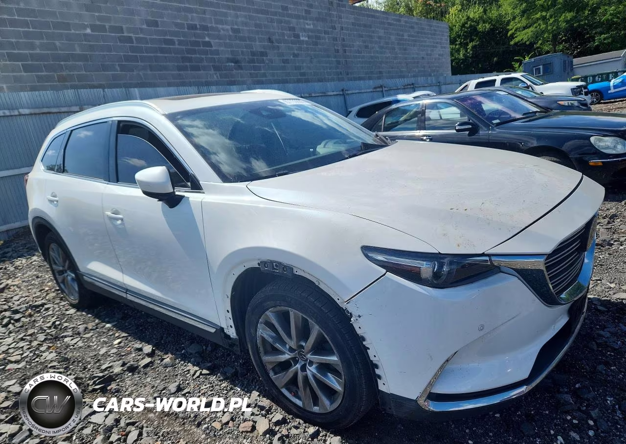 2019 Mazda Cx-9 Signature VIN:JM3TCBEY6K0322831 - 4