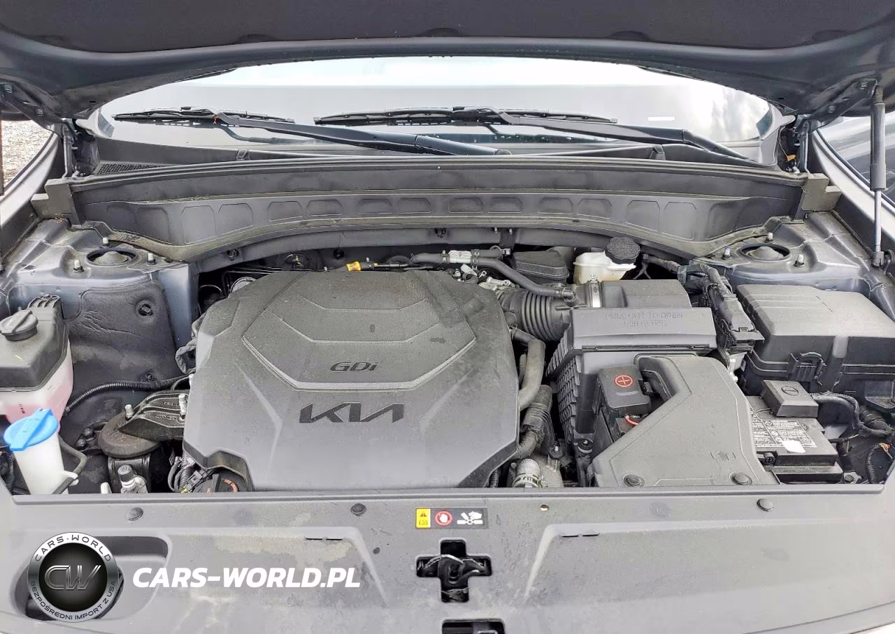 2023 Kia Telluride S VIN:5XYP6DGC7PG388465 - 12
