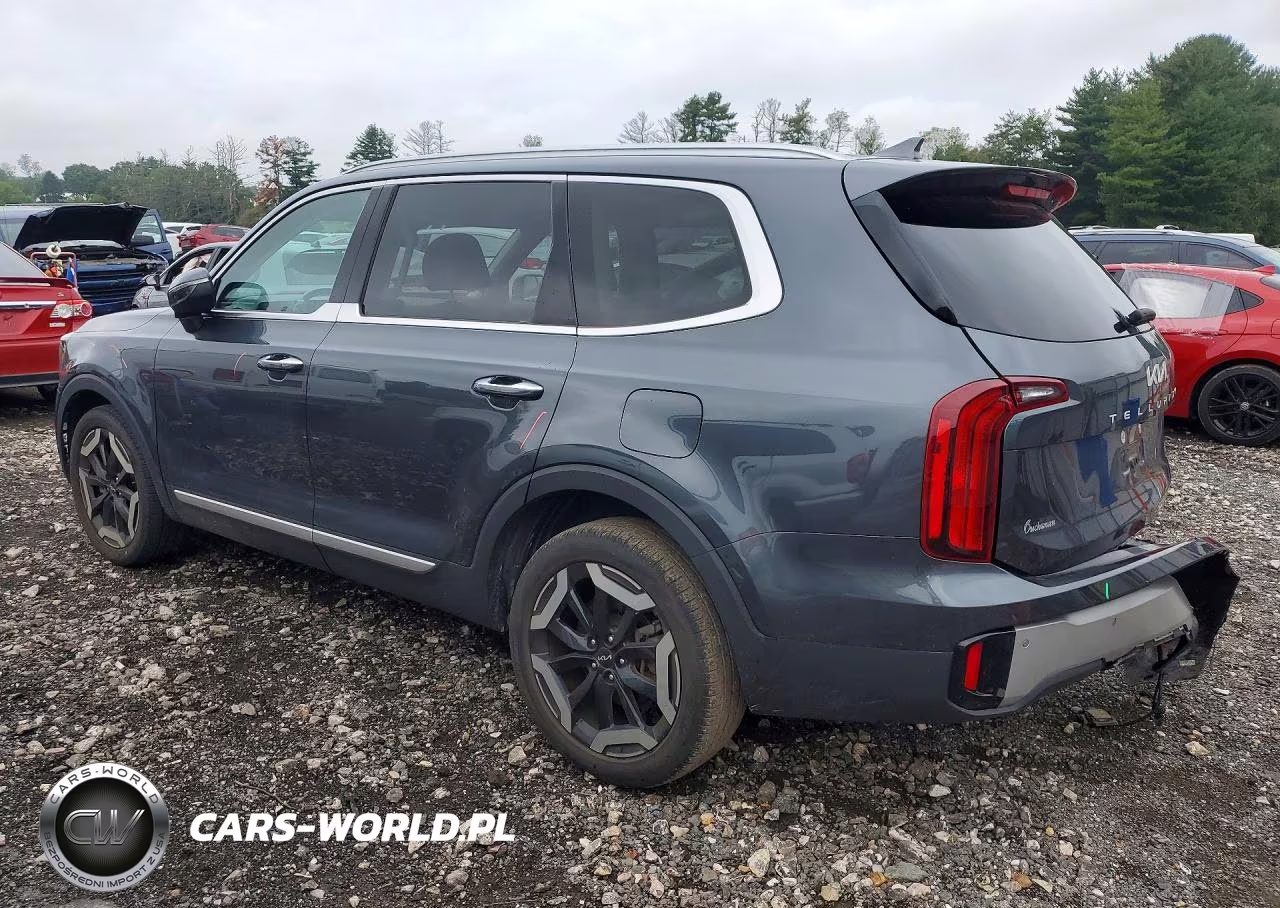 2023 Kia Telluride S VIN:5XYP6DGC7PG388465 - 2