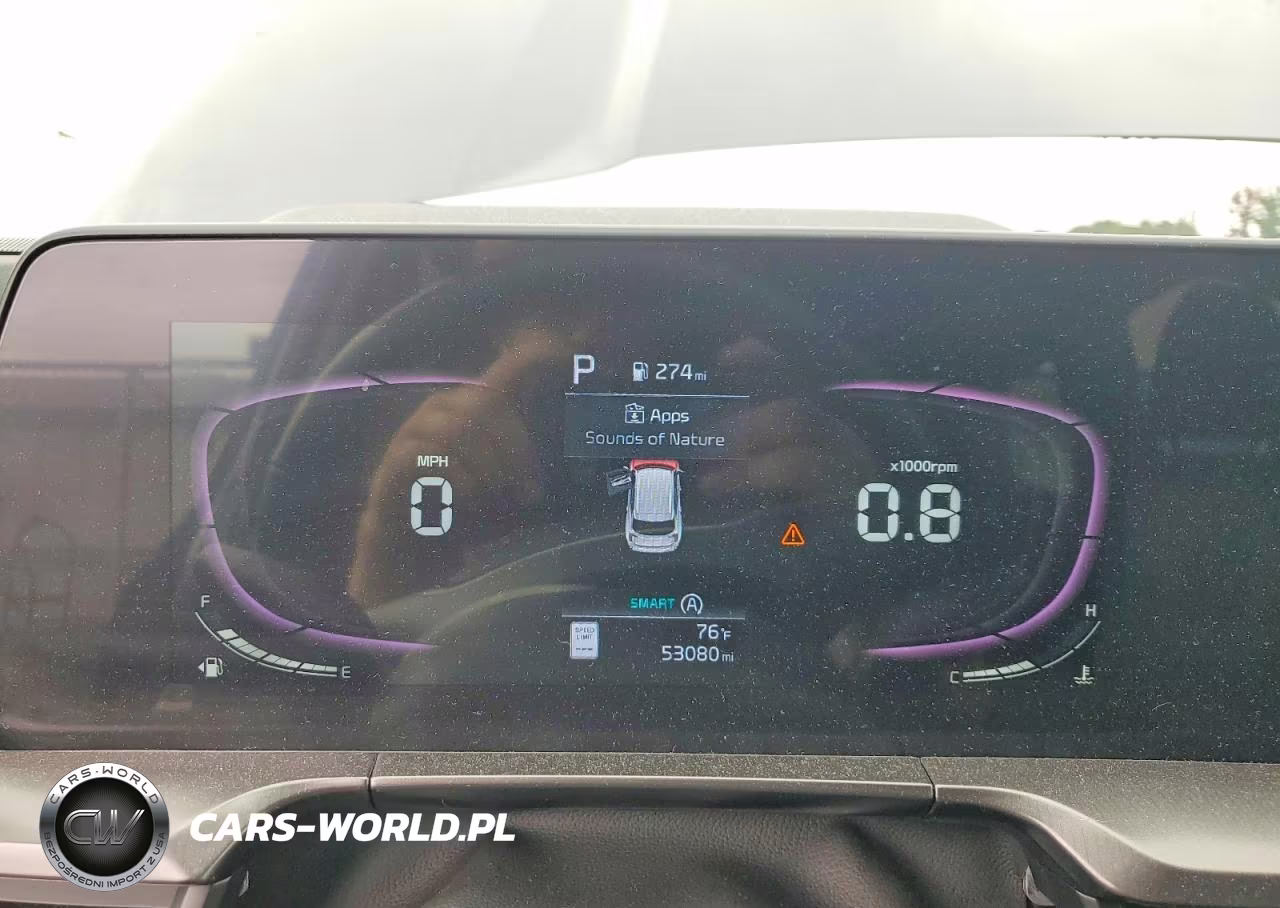 2023 Kia Telluride S VIN:5XYP6DGC7PG388465 - 9
