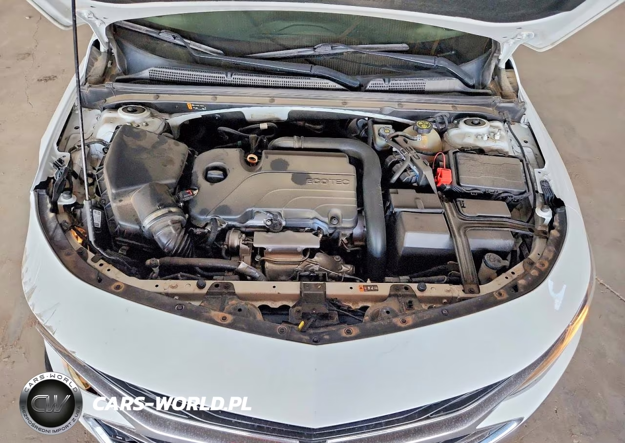 2021 Chevrolet Malibu Lt VIN:1G1ZD5ST7MF052009 - 11