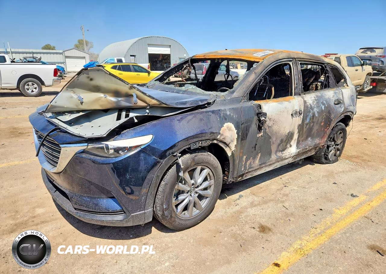 2019 Mazda Cx-9 Sport VIN:JM3TCABY4K0319960 - 1