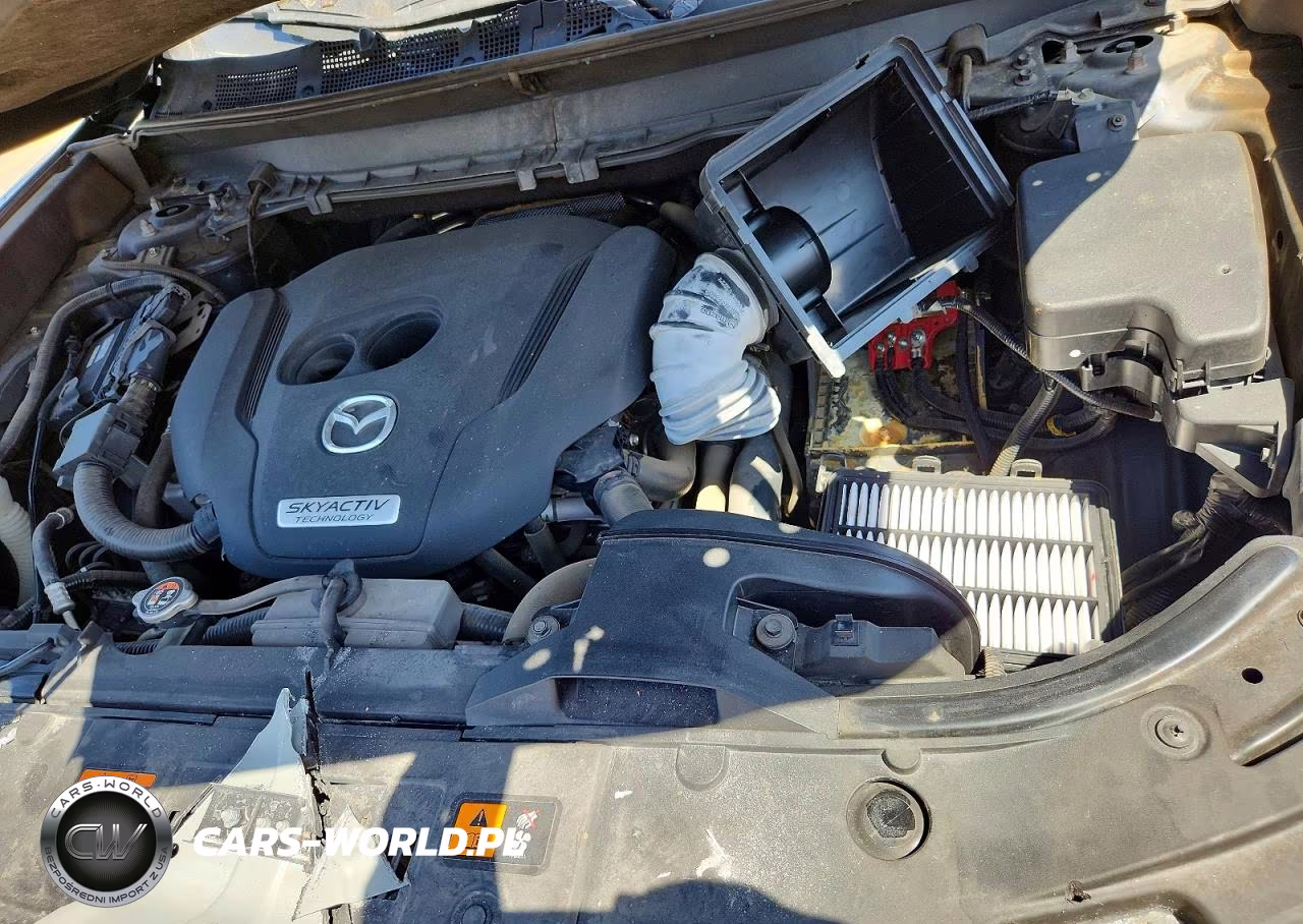 2019 Mazda Cx-9 Sport VIN:JM3TCABY4K0319960 - 11