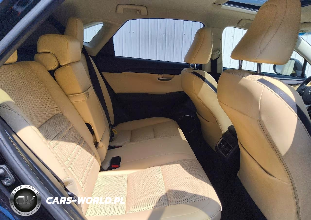 2016 Lexus Nx 200T Base VIN:JTJBARBZ6G2076906 - 11