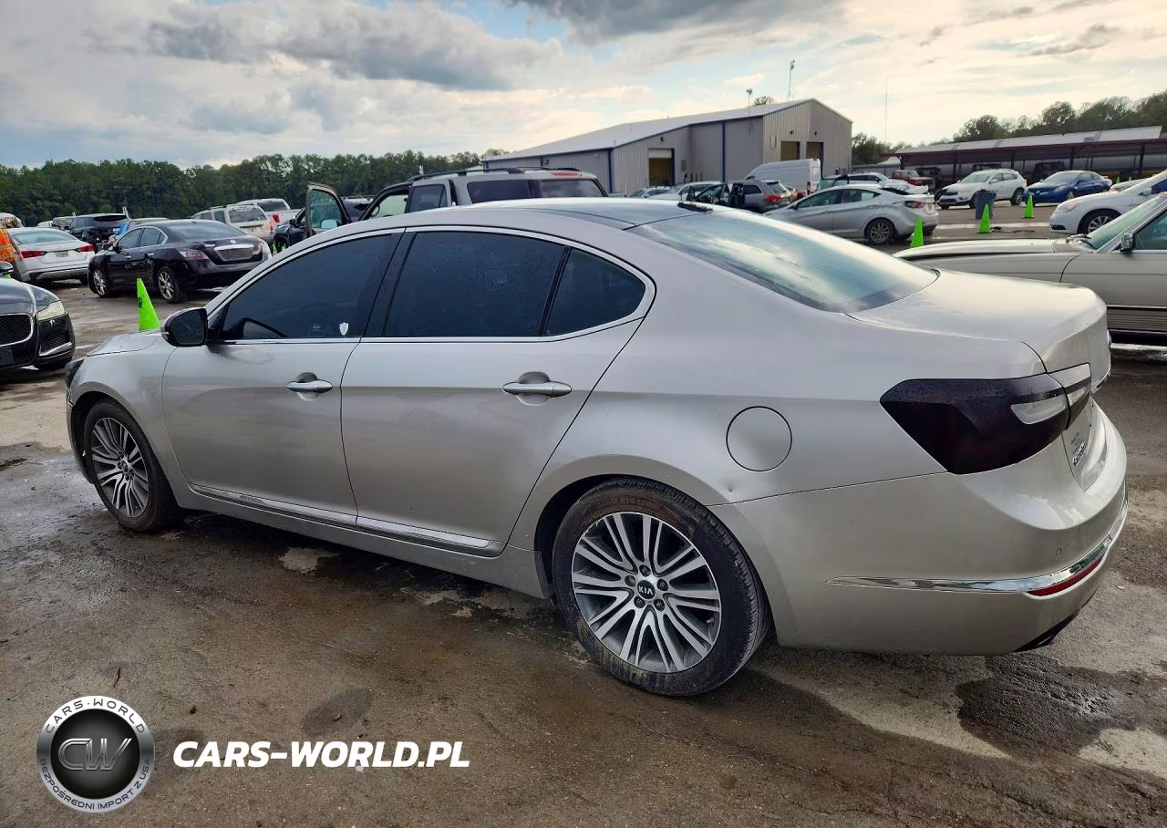 2014 Kia Cadenza Premium VIN:KNALN4D70E5124435 - 2