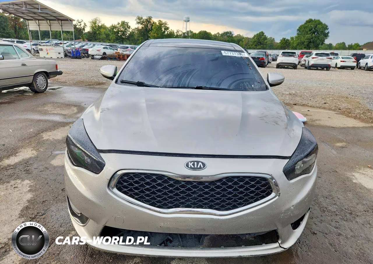 2014 Kia Cadenza Premium VIN:KNALN4D70E5124435 - 5