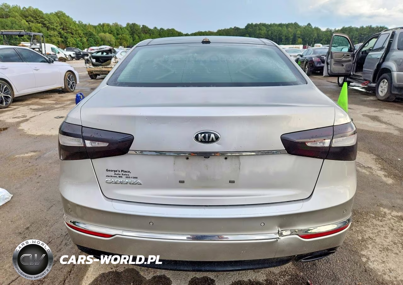 2014 Kia Cadenza Premium VIN:KNALN4D70E5124435 - 6