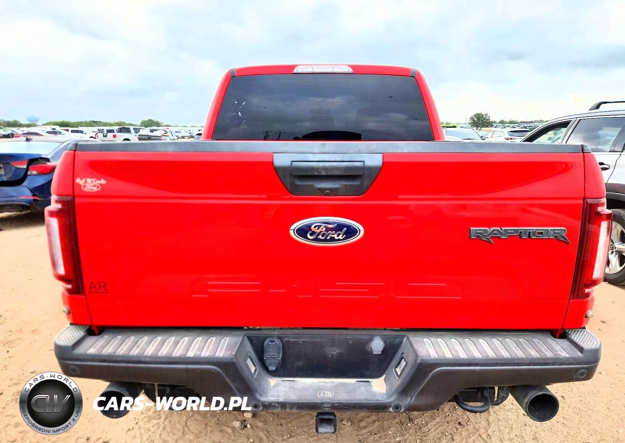 2020 Ford F150 Raptor VIN:1FTFW1RG5LFA71291 - 6
