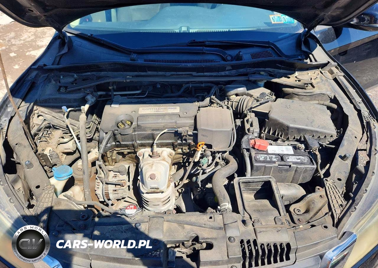 2014 Honda Accord Exl VIN:1HGCR2F81EA117259 - 11