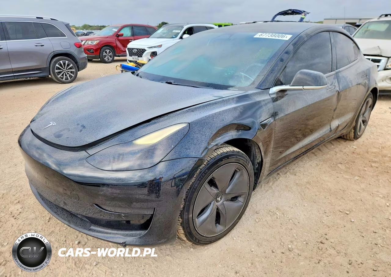 2019 Tesla Model 3