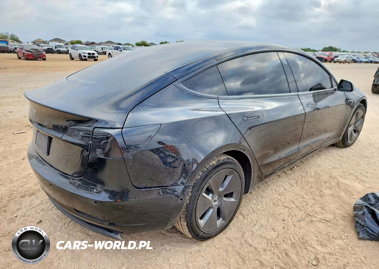 2019 Tesla Model 3 VIN:5YJ3E1EA5KF410769 - 3