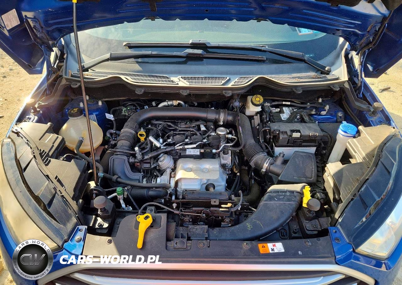 2019 Ford Ecosport Se VIN:MAJ3S2GE6KC303750 - 12