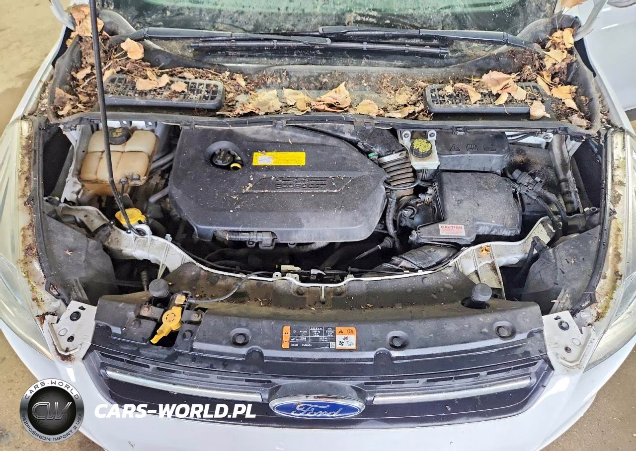 2015 Ford Escape Se VIN:1FMCU9GX0FUC36220 - 12