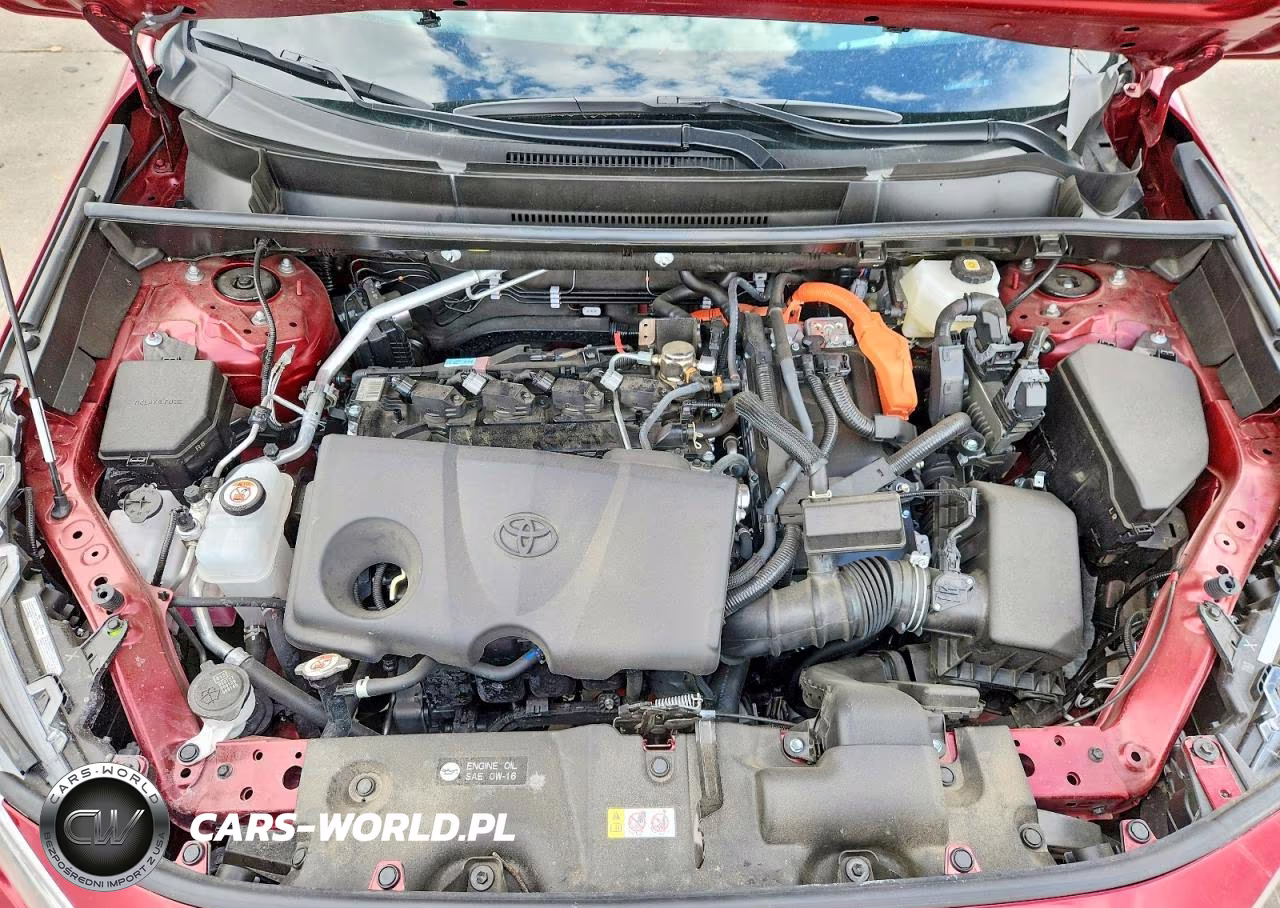 2025 Toyota Rav4 Hybrid Xle VIN:JTMRWRFVXSD292362 - 12