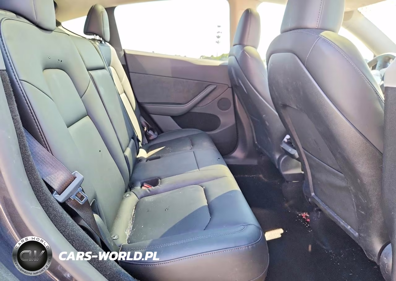 2024 Tesla Model Y VIN:7SAYGDEE0RA301912 - 10