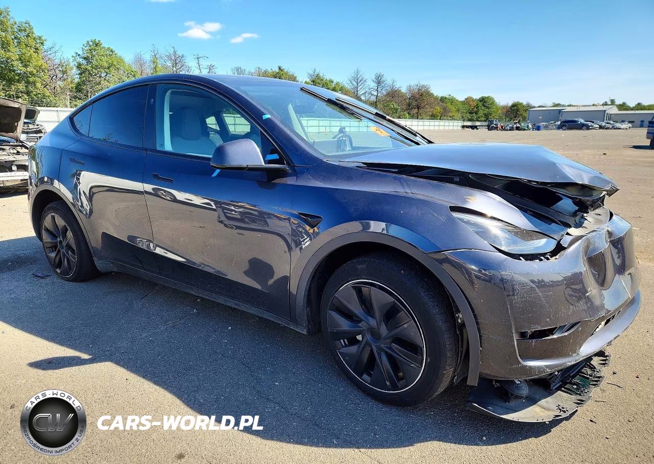 2024 Tesla Model Y VIN:7SAYGDEE0RA301912 - 4