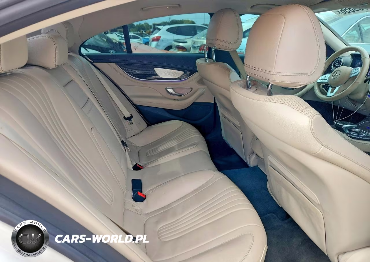 2020 Mercedes-Benz Cls 450 4Matic VIN:WDD2J5KBXLA050166 - 10