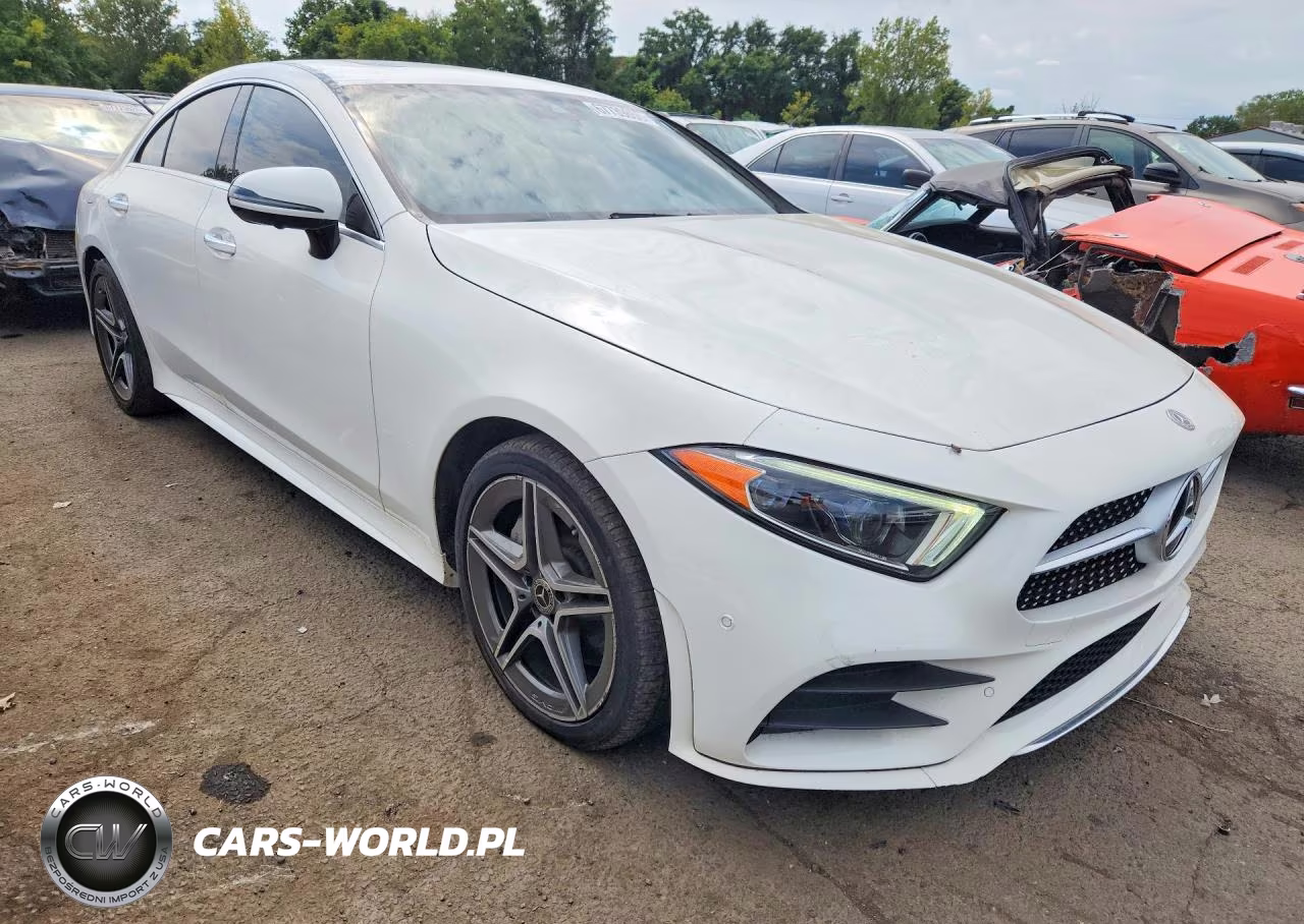 2020 Mercedes-Benz Cls 450 4Matic VIN:WDD2J5KBXLA050166 - 4