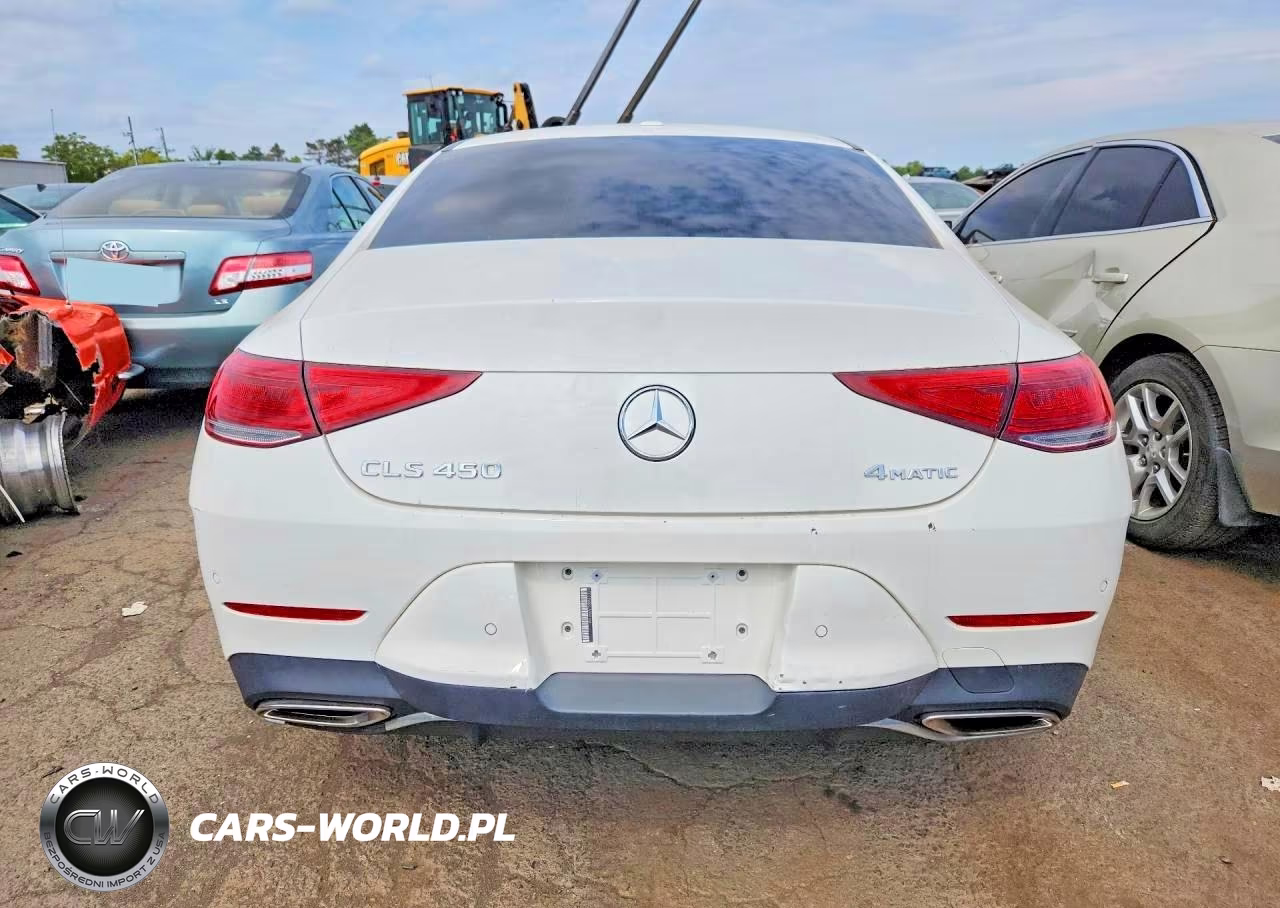 2020 Mercedes-Benz Cls 450 4Matic VIN:WDD2J5KBXLA050166 - 6
