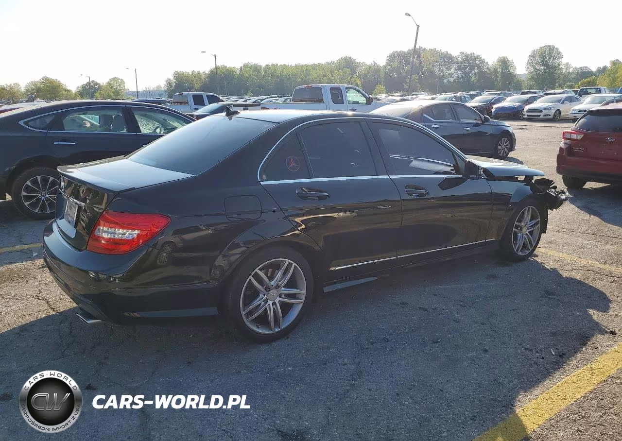 2014 Mercedes-Benz C 300 4Matic VIN:WDDGF8AB1EG160355 - 3
