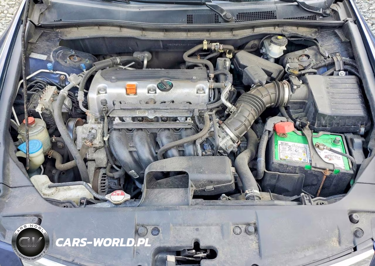 2010 Honda Accord Lxp VIN:1HGCP2F49AA130404 - 11
